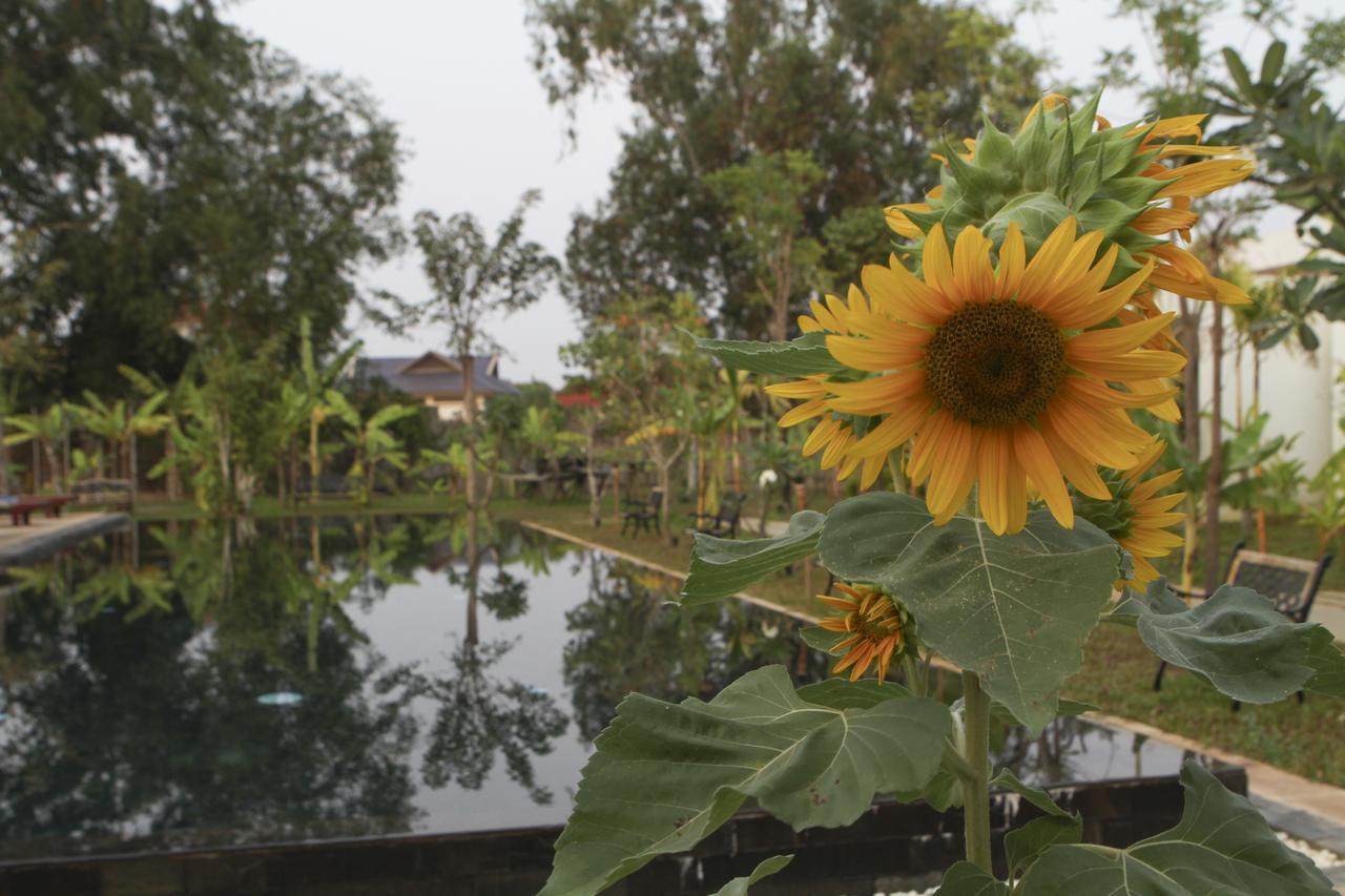 Blue Spring Boutique Hotel เสียมราฐ ภายนอก รูปภาพ