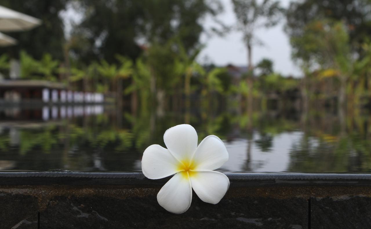 Blue Spring Boutique Hotel เสียมราฐ ภายนอก รูปภาพ
